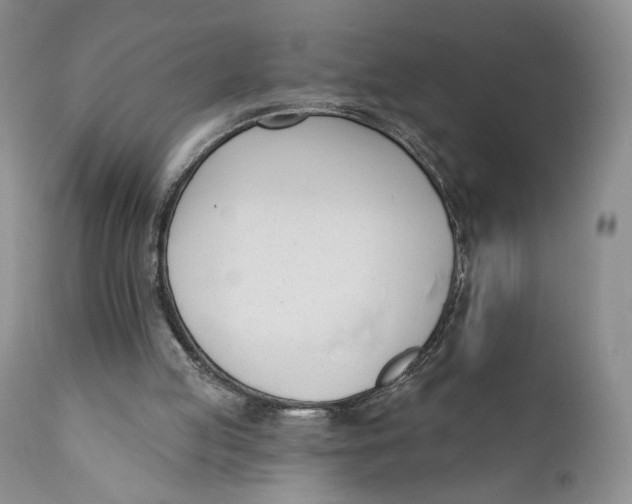 X0000110740053200907061016