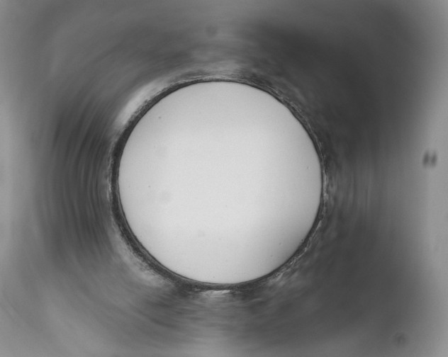 X0000110740054200907061016