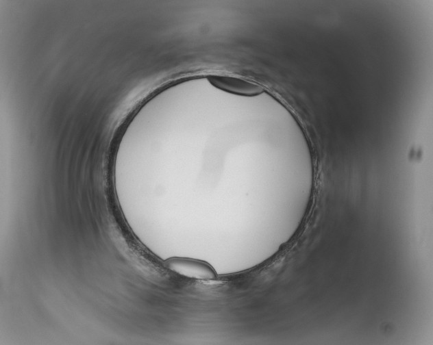 X0000110740055200907061016