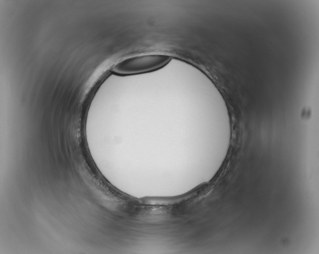 X0000110740056200907061016