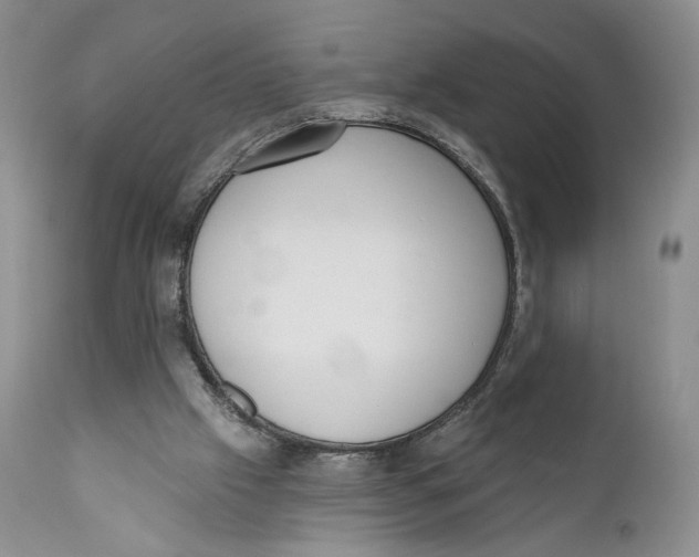 X0000110740057200907061016