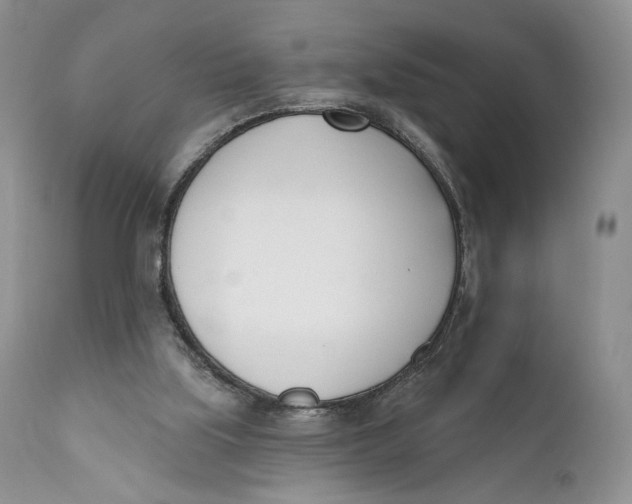 X0000110740059200907061017