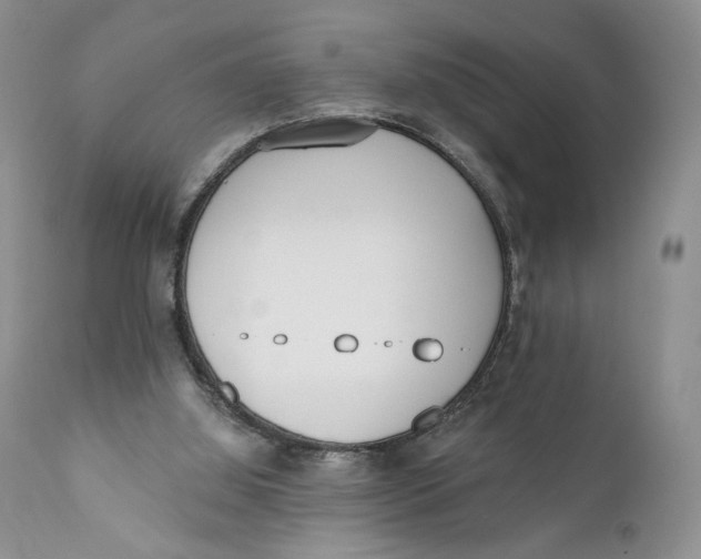 X0000110740060200907061017