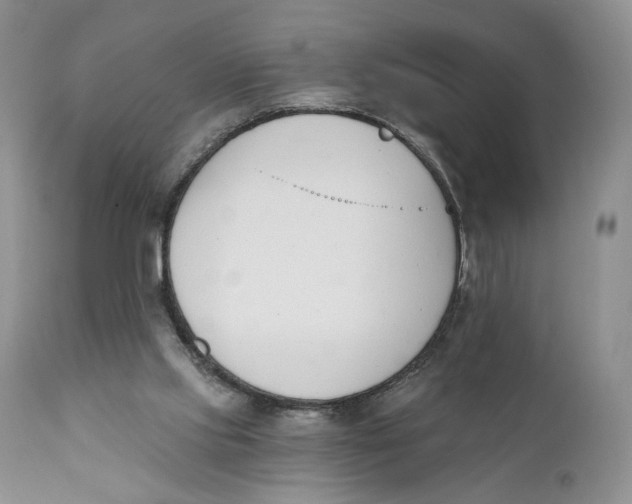 X0000110740061200907061017