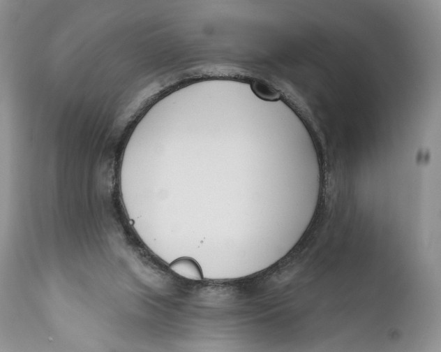 X0000110740063200907061017