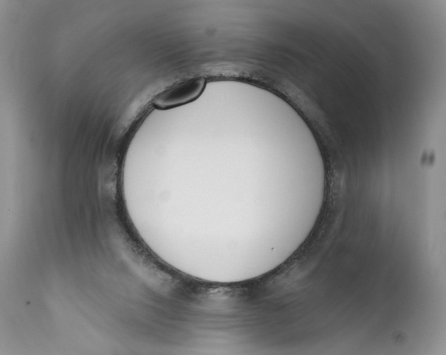 X0000110740064200907061017
