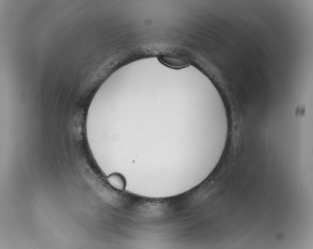 X0000110740065200907061017