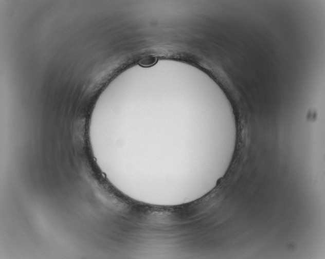 X0000110740066200907061017