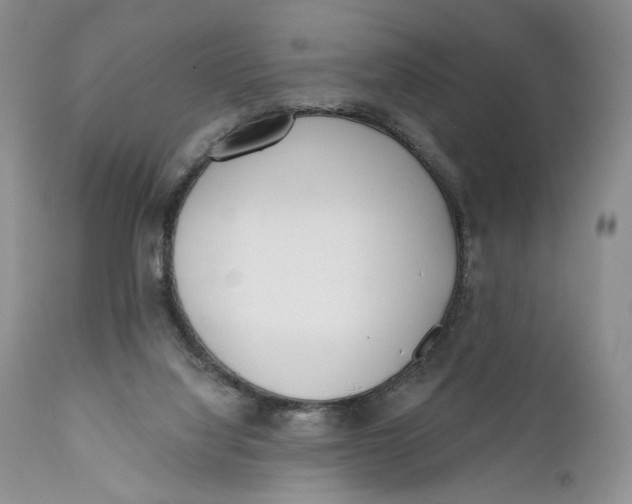 X0000110740068200907061017