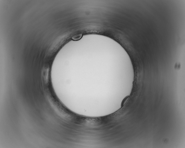 X0000110740070200907061017