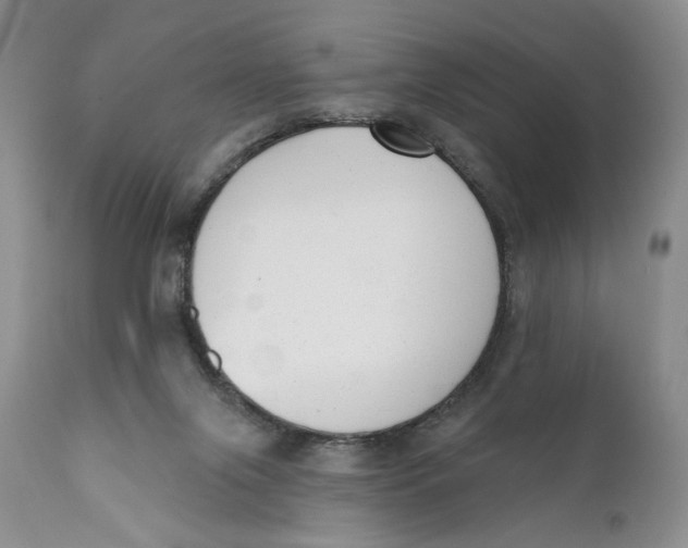 X0000110740071200907061017