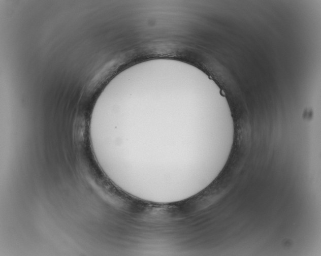 X0000110740072200907061017