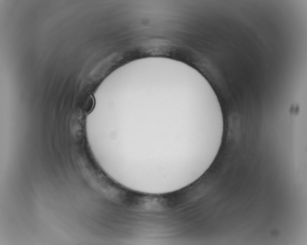 X0000110740073200907061017