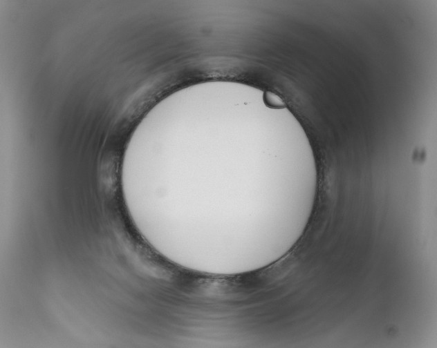 X0000110740074200907061017