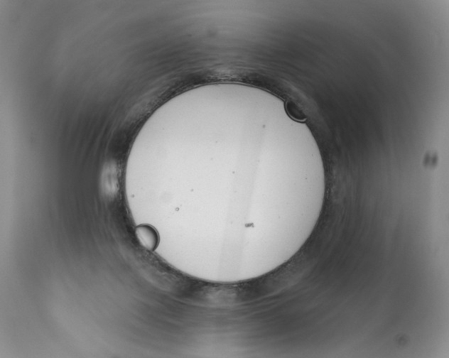 X0000110740075200907061017
