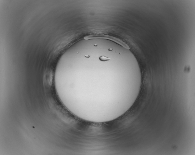 X0000110740076200907061017