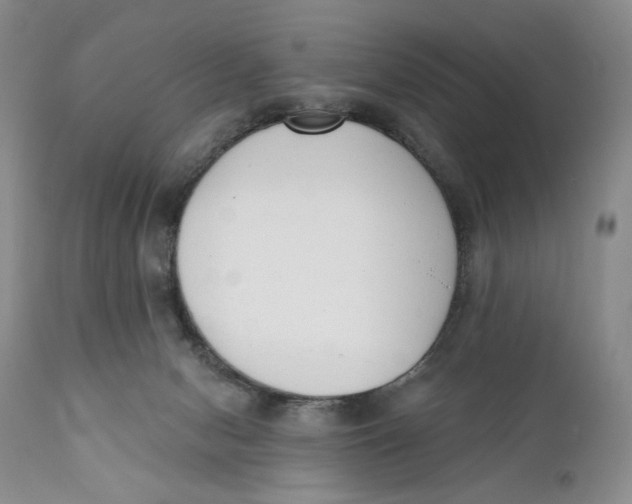 X0000110740078200907061017