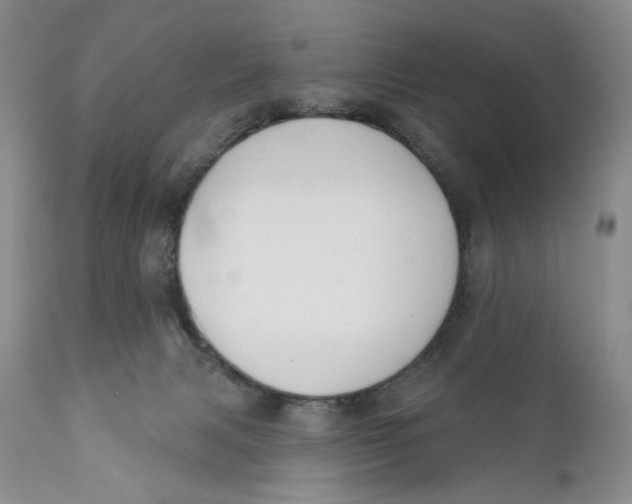 X0000110740079200907061017