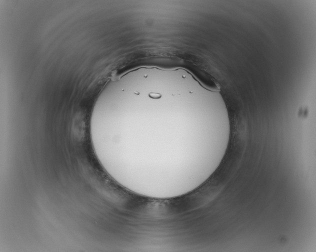 X0000110740080200907061017