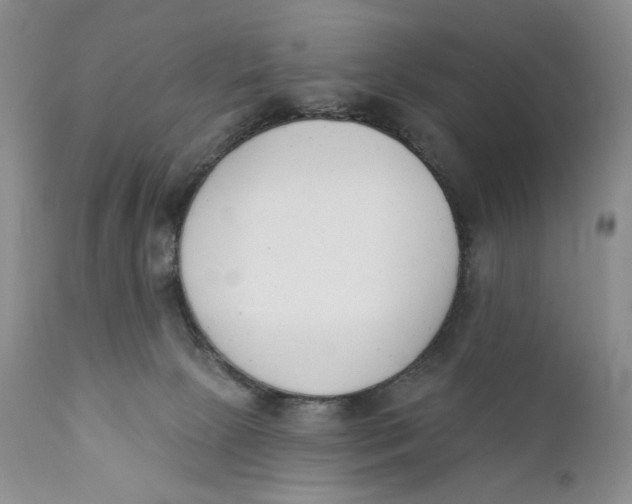 X0000110740081200907061017