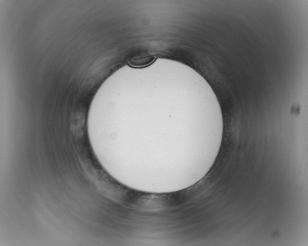 X0000110740082200907061017