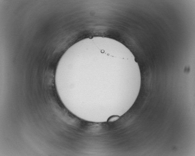 X0000110740083200907061017