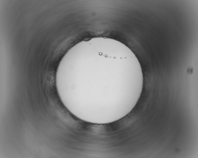 X0000110740085200907061017