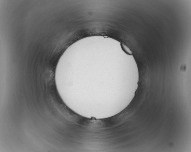 X0000110740087200907061017
