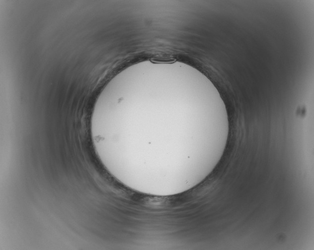 X0000110740088200907061017