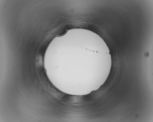 X0000110740089200907061017