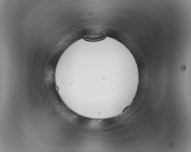 X0000110740090200907061017