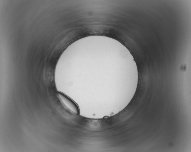 X0000110740091200907061017