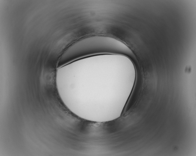 X0000110740092200907061017