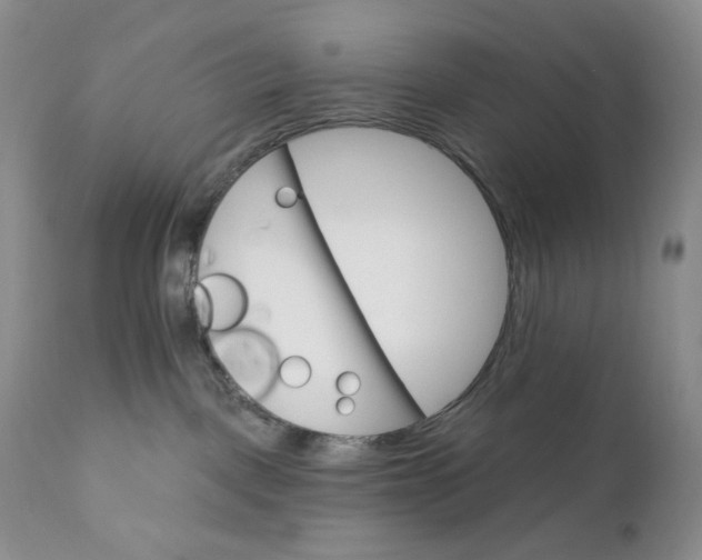 X0000110740093200907061017