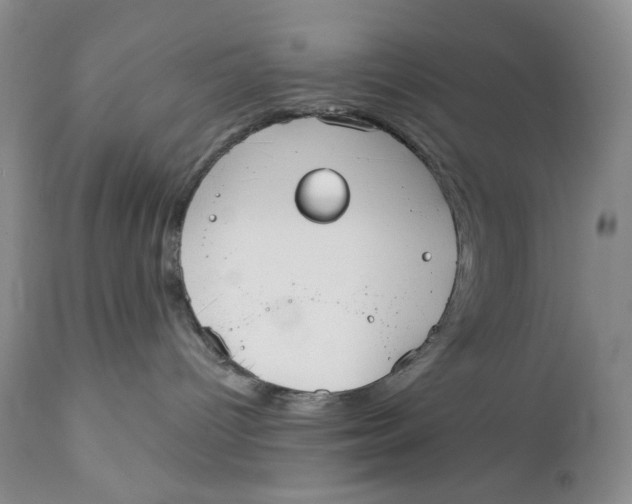 X0000110740096200907061017