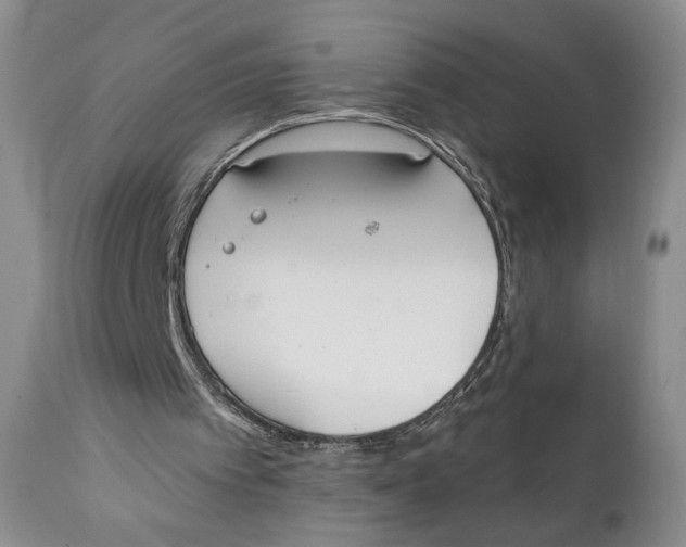 X0000110740097200907061016
