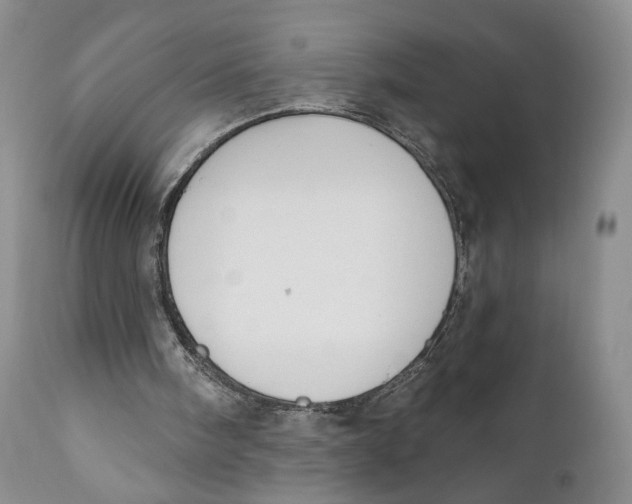 X0000110740098200907061016