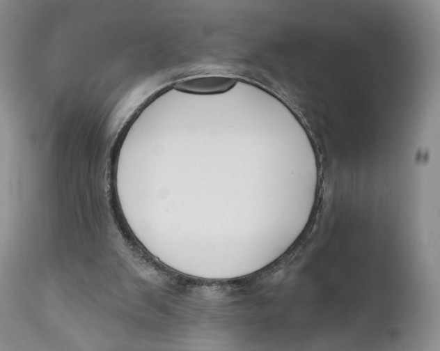 X0000110740103200907061016
