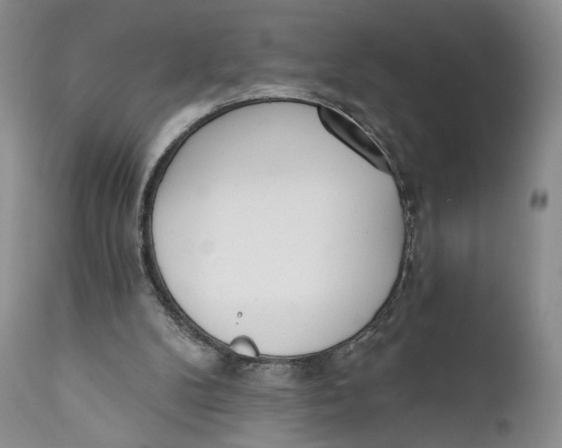 X0000110740104200907061016