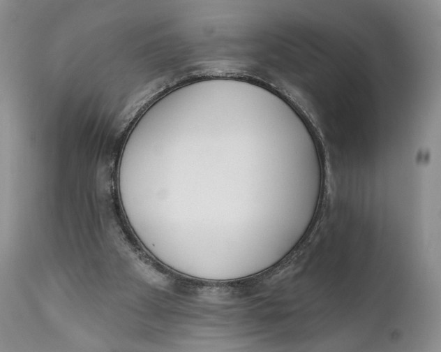 X0000110740105200907061016