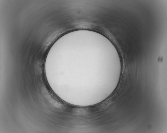 X0000110740106200907061016