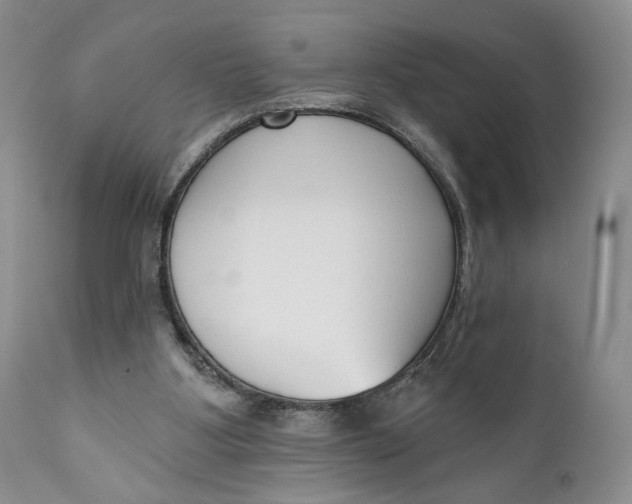 X0000110740107200907061016