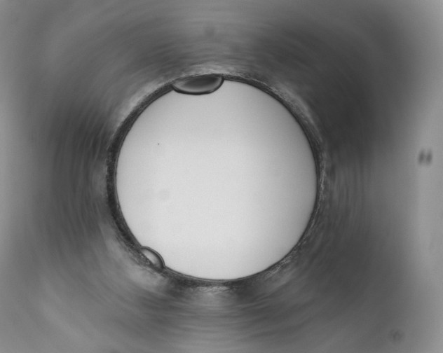 X0000110740108200907061016