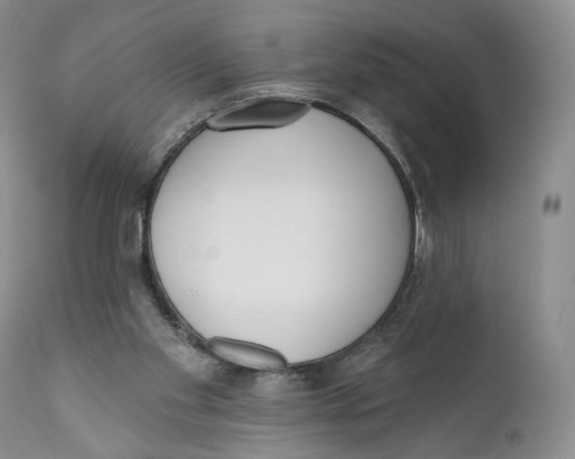 X0000110740109200907061016
