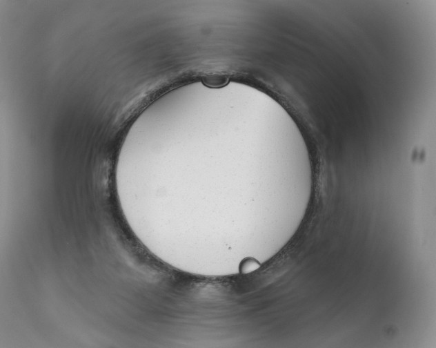 X0000110740115200907061016