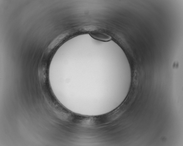 X0000110740116200907061016
