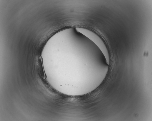 X0000110740117200907061016