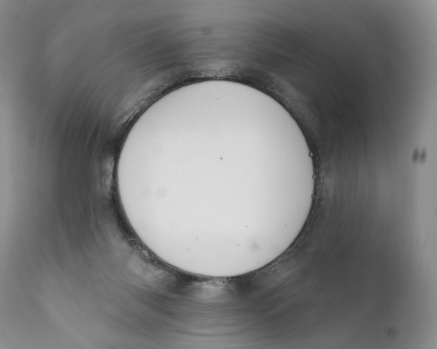 X0000110740118200907061016