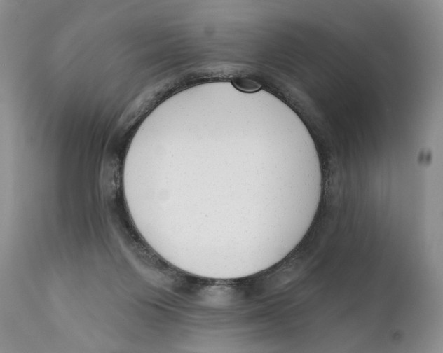 X0000110740119200907061016