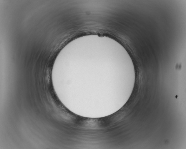 X0000110740121200907061016